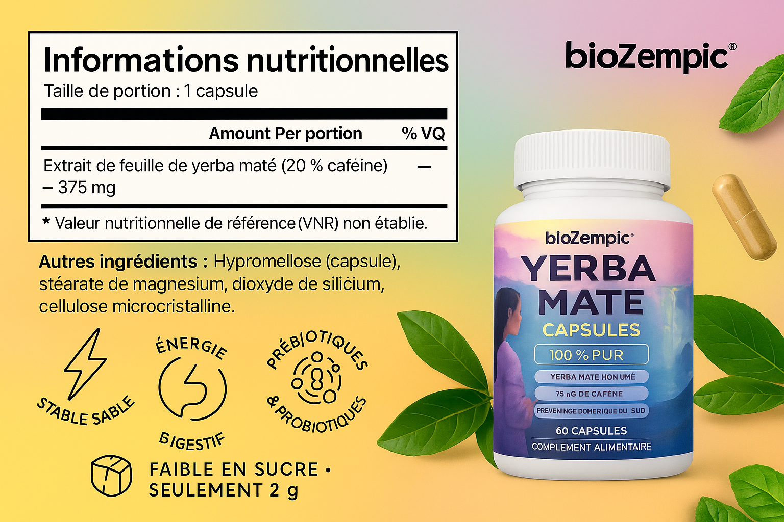 Zempic® – Yerba Maté Capsules Coupe-Faim Naturel